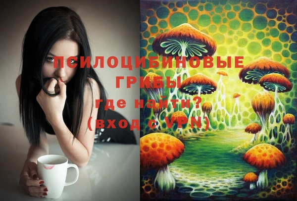 гидропоника Козловка
